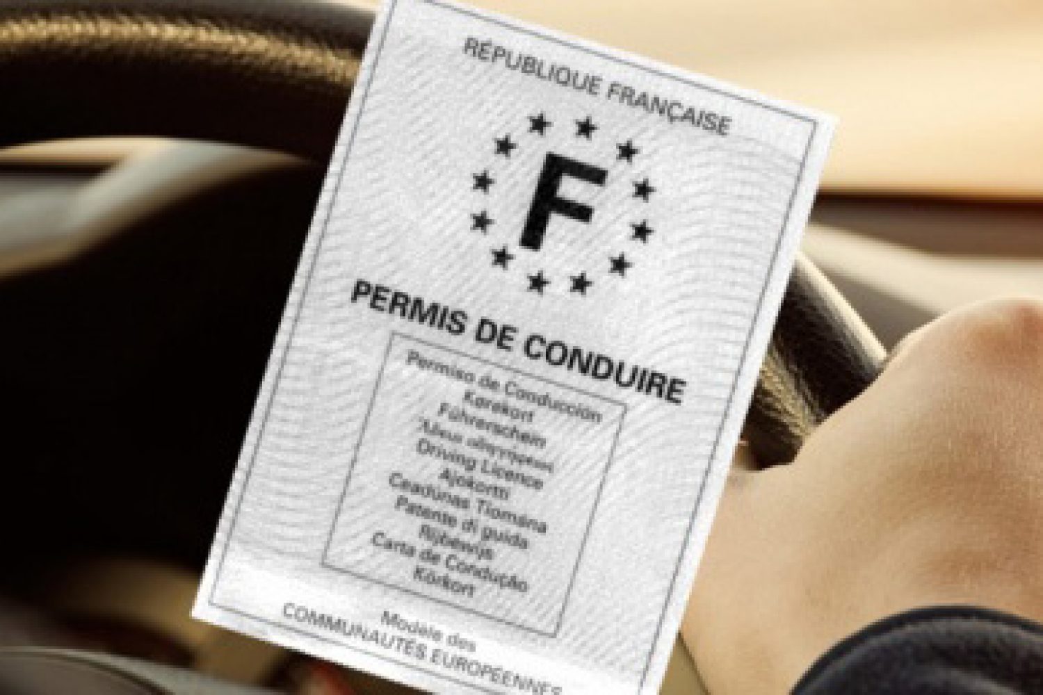 Avocat permis blanc Bordeaux Gironde