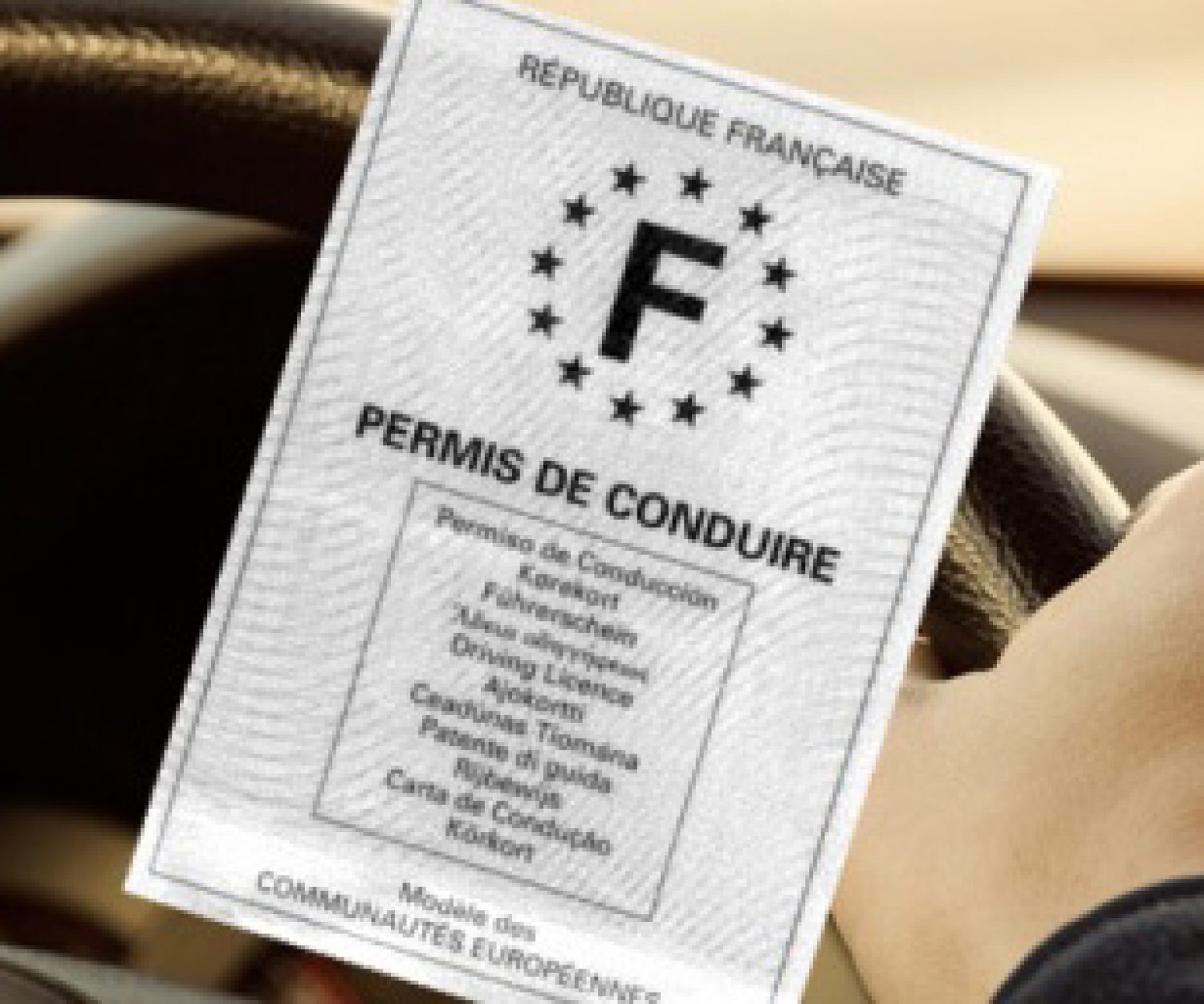 Avocat permis blanc Bordeaux Gironde